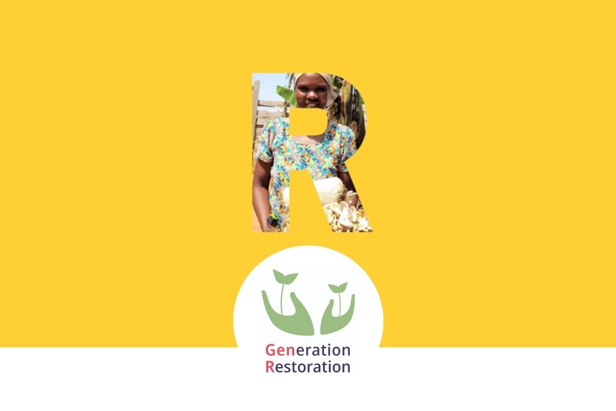 Generation Restauration